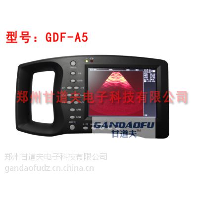 ʵBGDF-A5BǮ