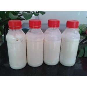 供应供应52度棕榈固体油