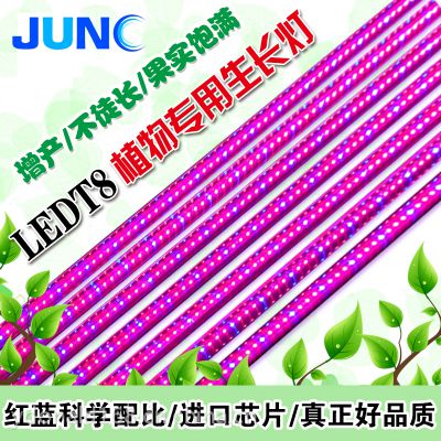 ֻӦΰҵ LEDֲ1.214W220V