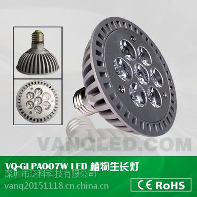 miniLEDֲͥ LEDܵ LEDũʵ PAR ҹӦ