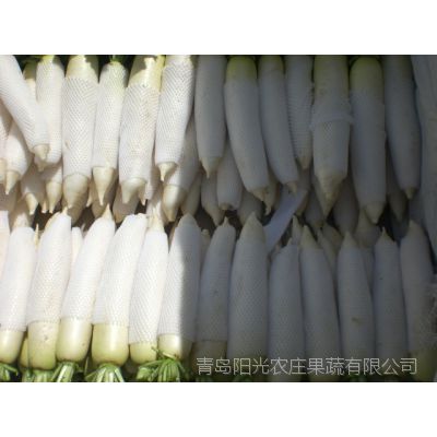 保鲜蔬菜白萝卜胡萝卜北京椰菜小甘蓝甜包菜有出口任务 致电青岛净菜加工厂 13706486673