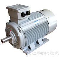 西安西玛电机厂YE2-90L-2  2.2KW/380V 高效率电机