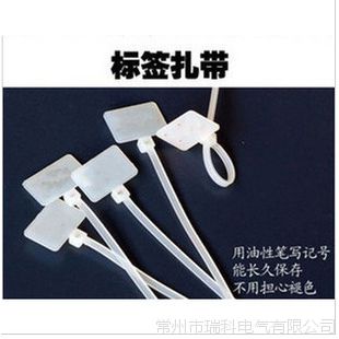 ʶߴߴ