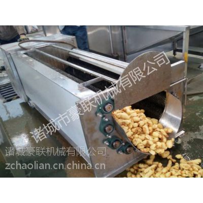 供应豪联牌毛辊式萝卜清洗机洗白萝卜清洗机不伤表皮干净省水