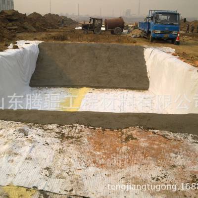 山东腾疆生产覆膜型膨润土防水毯，优质防水毯各种土工及工程材料邵经理 15621536066