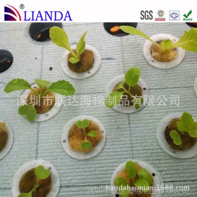 厂供种植基地专用无土栽培育种海绵育苗海绵聚氨酯绿化定植绵 价格 厂家 中国供应商