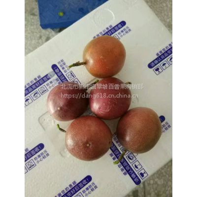 广西特产新鲜水果百香果　西番莲　鸡蛋果