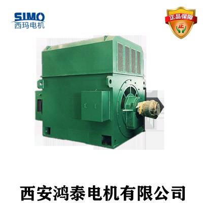 YR800-10EM/800KW/594rpm 10KV绕线型大型高压电机启动柜