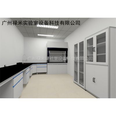 优质实验室家具，批发请选广州禄米实验设备 尺寸可定制
