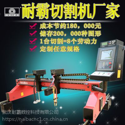 武汉耐霸经济型龙门式数控等离子切割机小型双边驱动切割机
