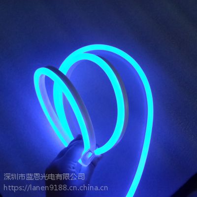 深圳厂家直销2835-120-N 霓虹灯条220V/110V，绿/蓝/红