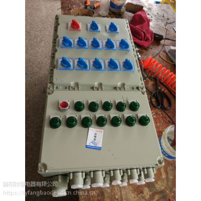 BXD52-6/30/K125防爆动力配电箱