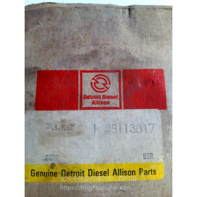Detroit Diesel/5113817ɷ