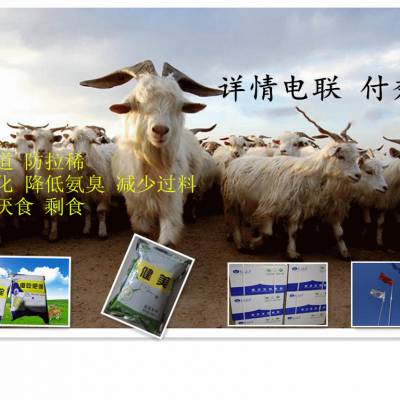 养羊益生菌防止拉稀促进消化