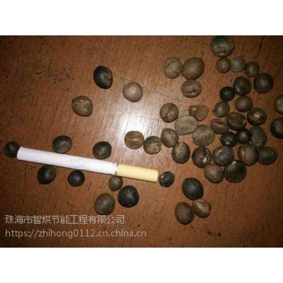 保温循环热风的智烘牌山茶籽干燥设备生产厂