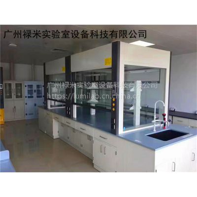 广东实验室家具厂家哪里好_广东实验室家具图片_广东实验室家具价格 禄米实验室设备