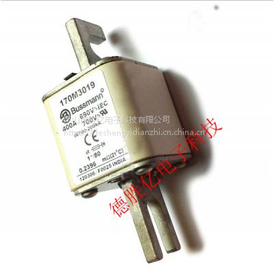 ӦBUSSMANN۶170M3116 250A 170M3117 31***
