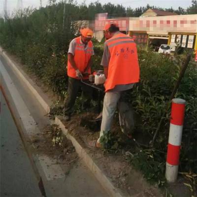 操作简单植树挖坑就用华圣牌挖坑机