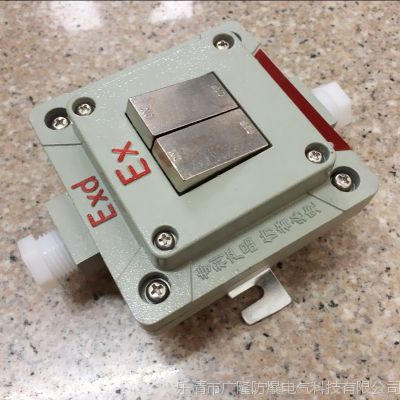 广隆科技防爆双联单控开关bqk10