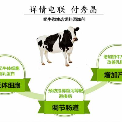 奶牛养殖专用的益生菌调节肠道预防奶牛拉稀
