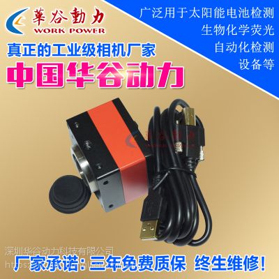 ȶƼ޹˾WP-UT2600