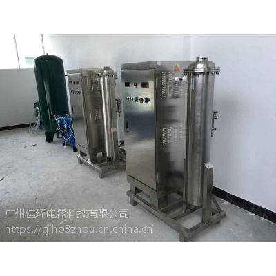 500克臭氧发生器HY-021-500A分体式臭氧机广州佳环