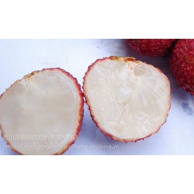 ɽ޺֦ Ϸֲ 13457775554 ɵ