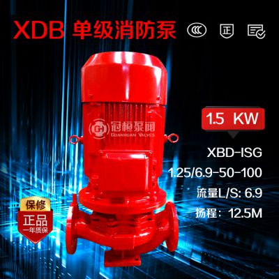 冠桓 XBD1.25/6.9-65-100 厂家直销 立式水泵 管道泵 ISG100-200单级离心