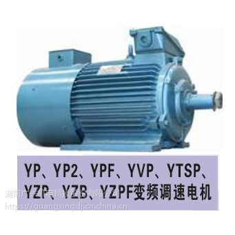 YP、YVF、YVP、YTSP变频调速电机