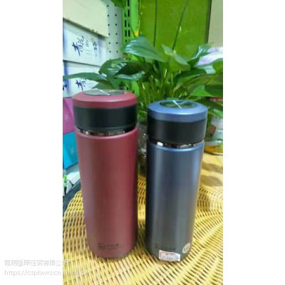 双层玻璃杯定制-个性车载茶漏紫砂杯印刷logo塑料杯