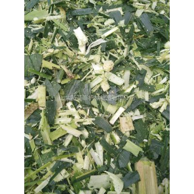 ʥֱ̩ոաݻ۸ ͽոաݻİ