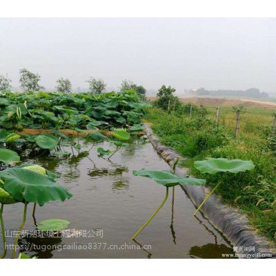 河南郑州 0.3mm hdpe藕池防渗膜 莲藕养殖膜 自产自销