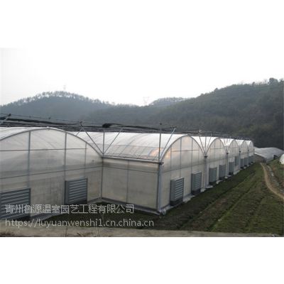 广州 连栋薄膜蔬菜温室大棚造价 工程案例