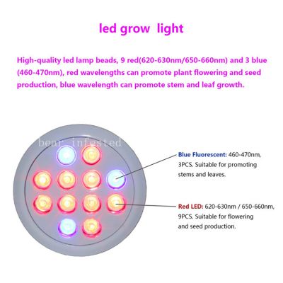 植物生长灯 多肉植物类补光灯 led植物生长轨道灯