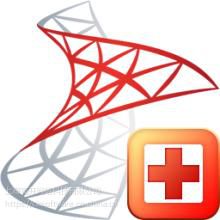 Recovery Toolbox for SQL Serverۣ۸