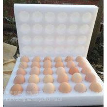 30枚装笨鸡蛋防震包装盒使用东泰珍珠棉内衬无味环保