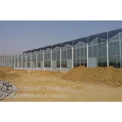 陕西汉中光伏智能大棚温室6米、1万平米、2.0MM抗风柱型承建公司