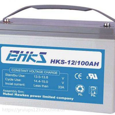 英国EHKS霍克斯蓄电池UPS专用12V100AH--销售部