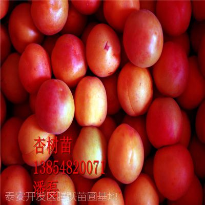 Ʒ硢Ʒֺ硢Ʒ۸
