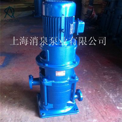 XIAOQUAN消泉泵业出售DL型立式单吸多级24.68DL11.29-35离心管道泵