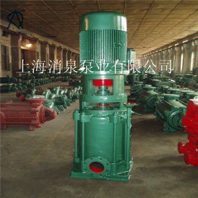 XIAOQUAN消泉泵业出售DL型立式单吸多级200DL33.29-84离心管道泵