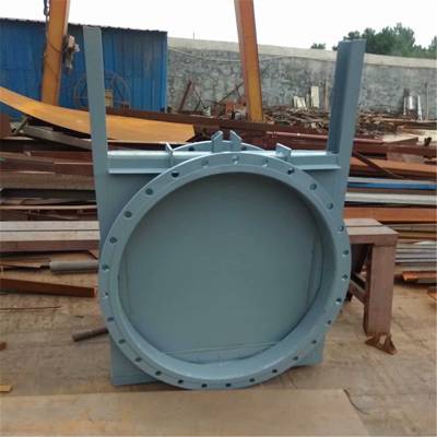 倒虹井手动ssyz600双向止水铸铁镶铜圆闸门购置安装