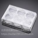 美国Corning 6孔细胞培养板 平底带盖，表面未处理351146