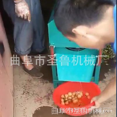 圣鲁厂家直销青核桃剥皮机 小型去皮机 零破碎核桃剥壳机