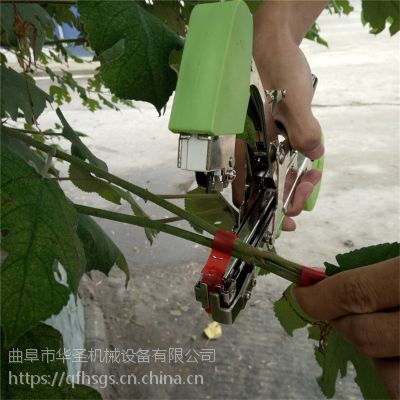 台湾新款温室大棚葡萄蔬菜绑枝机 蔓藤捆扎机