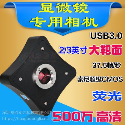 WP-MU500   ҵ й ͷ 