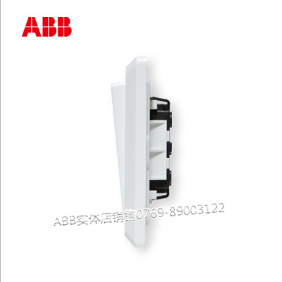 ABB墙壁开关一位单控带装饰线开关 10AX (白色)