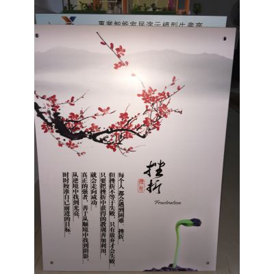 南山亚克力展架 亚克力文化墙 亚克力裱写真展板