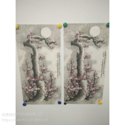 ͻ渴ƴͻɨ踴