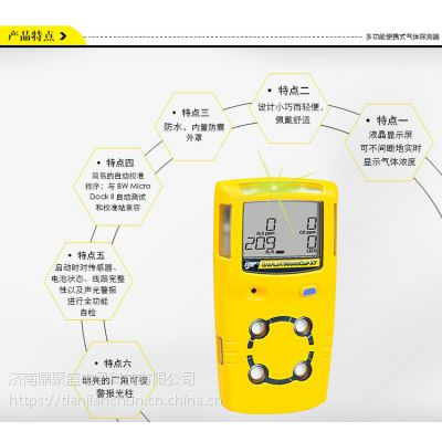 电力专用 BW 便携式复合气体检测报警仪 MC2-XWHM